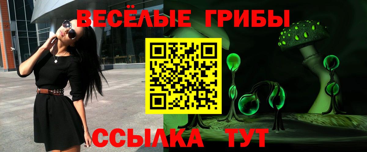 Галлюциногенные грибы Psilocybine cubensis Артёмовский