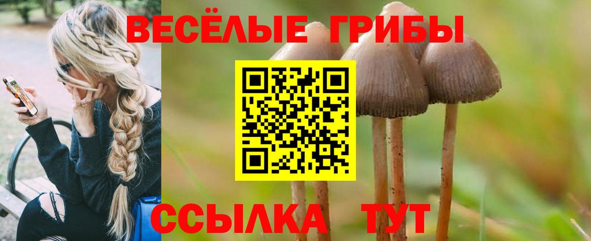 Галлюциногенные грибы Psilocybe  где купить наркоту  Артёмовский  Вход с VPN 